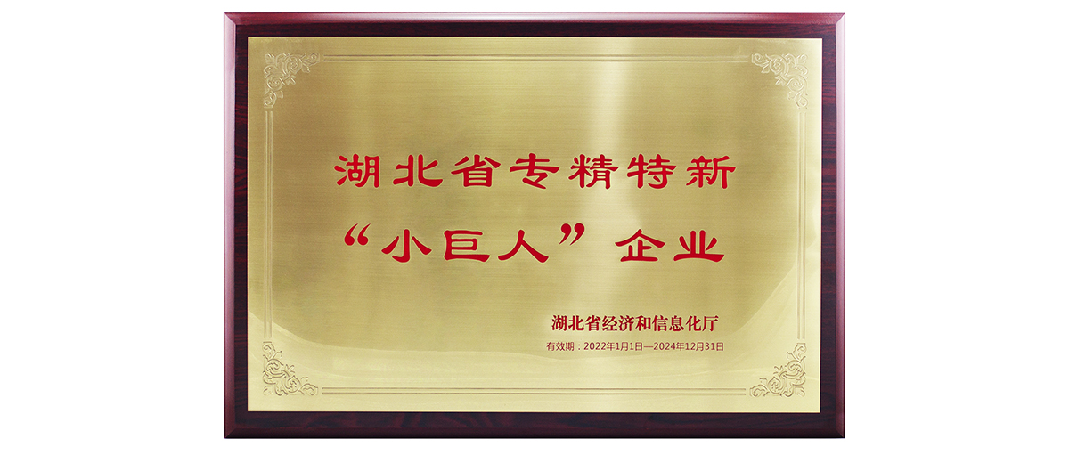 邁信電氣獲湖北省專精特新“小巨人”企業(yè)榮譽(yù)稱號(hào)